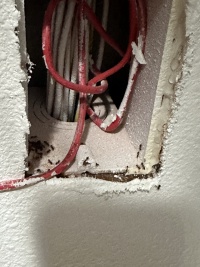 2023-10-29-ants-in-master-closet.JPG