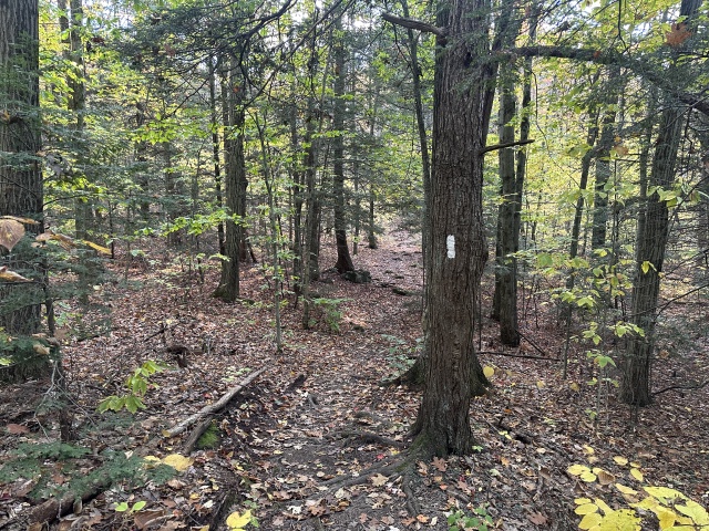 2023/10(October)/VA-SAVD-Central-Western-Mass/640x480_2023-10-19-VA-SAVD-Central-Western-Massachussets-12-Upper-Goose-Pond-Map.JPG