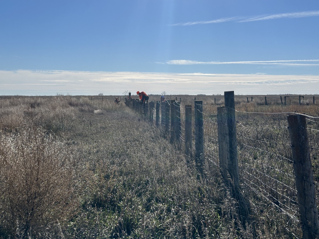 2023/11(November)/Pheasant-Hunting-SD/1024x768_2023-11-06-SD-Pheasant-Hunting-14-Oleo-land.JPG