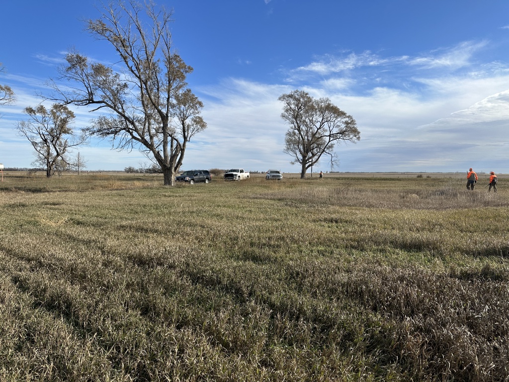2023-11-08-SD-Pheasant-Hunting-34-Scott-Farm.JPG