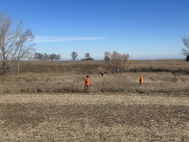 2023-11-06-SD-Pheasant-Hunting-11-Jace.JPG