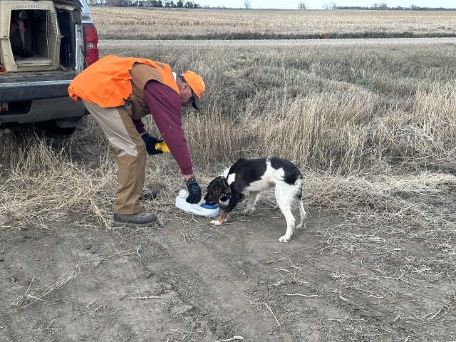2023-11-06-SD-Pheasant-Hunting-17-John-dog.JPG