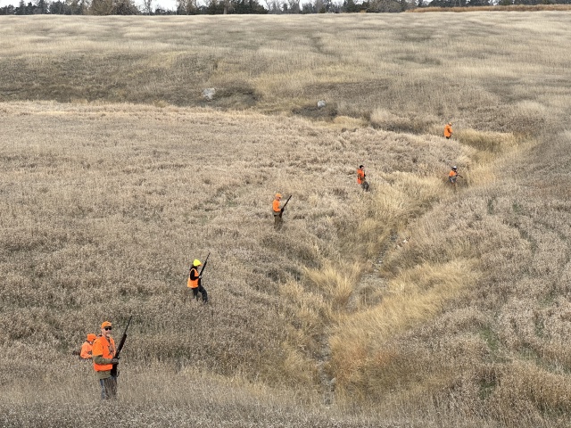 2023-11-07-SD-Pheasant-Hunting-25-Rose-Dan-Kali-Mike-Jace-Tappen-John.JPG