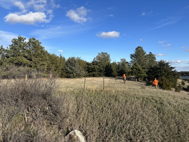 2023/11(November)/Pheasant-Hunting-SD/640x480_2023-11-08-SD-Pheasant-Hunting-39-public-area-Mike-Mark.JPG