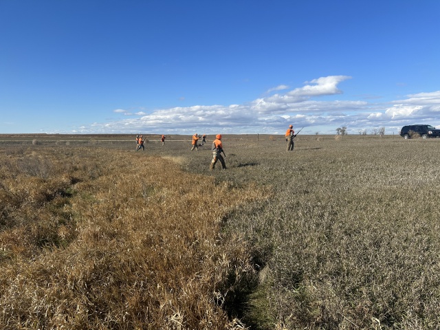 2023-11-09-SD-Pheasant-Hunting-44-Tappen-Jace-Dan-Mike-John-Rose.JPG