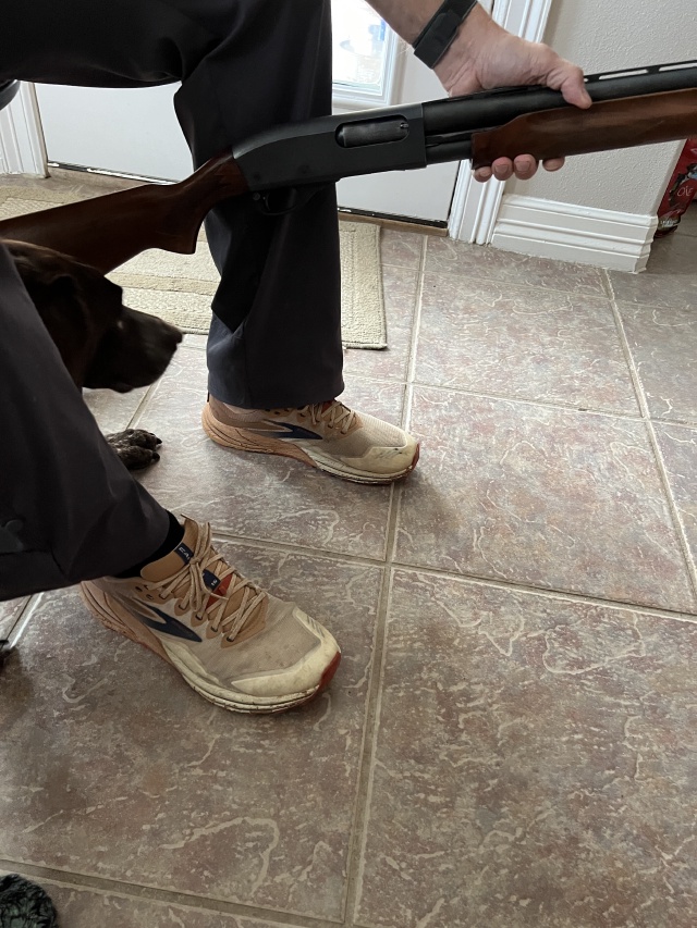 2023-11-12-SD-Pheasant-Hunting-69-cleaning-shotgun-Blaze.JPG