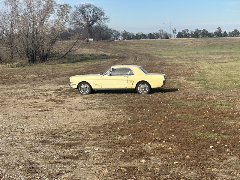 2023-11-05-SD-Pheasant-Hunting-08-Sarah-Mustang.JPG