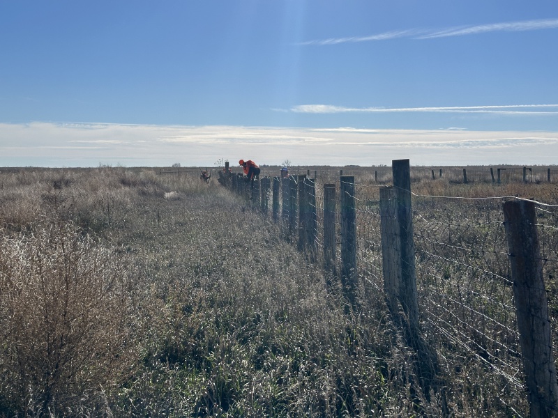 2023/11(November)/Pheasant-Hunting-SD/800x600_2023-11-06-SD-Pheasant-Hunting-14-Oleo-land.JPG