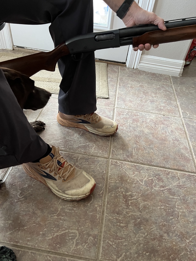 2023-11-12-SD-Pheasant-Hunting-69-cleaning-shotgun-Blaze.JPG