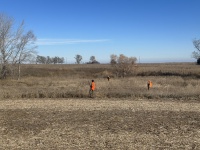 2023-11-06-SD-Pheasant-Hunting-11-Jace.JPG