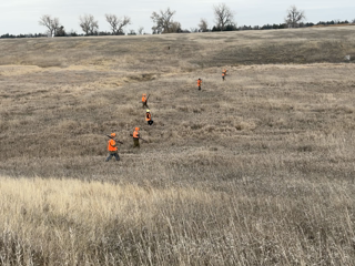 2023-11-07-Pheasant-Hunting-broken-bridge-field.png