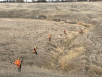 2023-11-07-SD-Pheasant-Hunting-25-Rose-Dan-Kali-Mike-Jace-Tappen-John.JPG