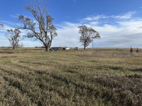 2023-11-08-SD-Pheasant-Hunting-34-Scott-Farm.JPG