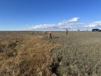 2023-11-09-SD-Pheasant-Hunting-44-Tappen-Jace-Dan-Mike-John-Rose.JPG