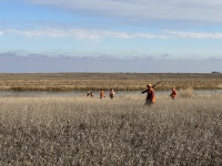 2023-11-10-SD-Pheasant-Hunting-63-Kali-Tappen-Jace-Mike-John-Dan.JPG