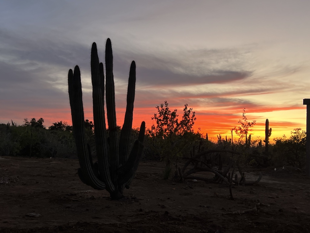 2023/12(December)/Mexico-Baljala/1024x768_2023-12-25-Mexico-Baljala-189-sunset.JPG