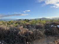 2023-12-23-Mexico-Baljala-139-brush-pile.JPG
