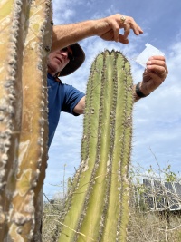 2023-12-24-Mexico-Baljala-162-Travis-Solar-lights-on-cactus.JPG