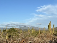 2023-12-25-Mexico-Baljala-174.JPG