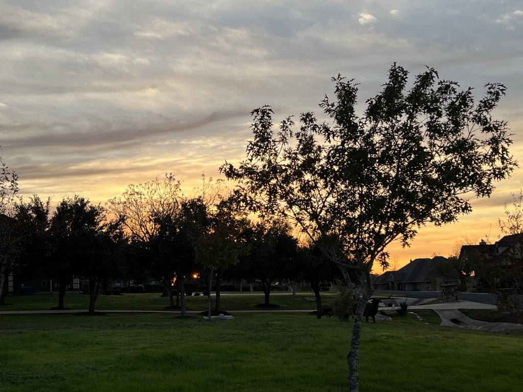 2023/12(December)/Misc/1024x768_2023-12-02-Sunset.JPG