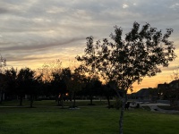 2023/12(December)/Misc/2023-12-02-Sunset.JPG