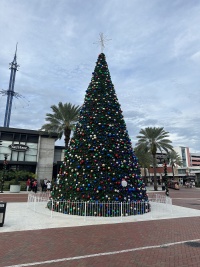 2023/12(December)/VA-SAVD-Orlando-Training/2023-12-04-VA-SAVD-Orlando-Training-01-Christmas-Tree.JPG