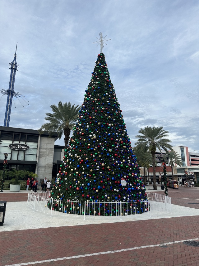 2023/12(December)/VA-SAVD-Orlando-Training/2023-12-04-VA-SAVD-Orlando-Training-01-Christmas-Tree.JPG