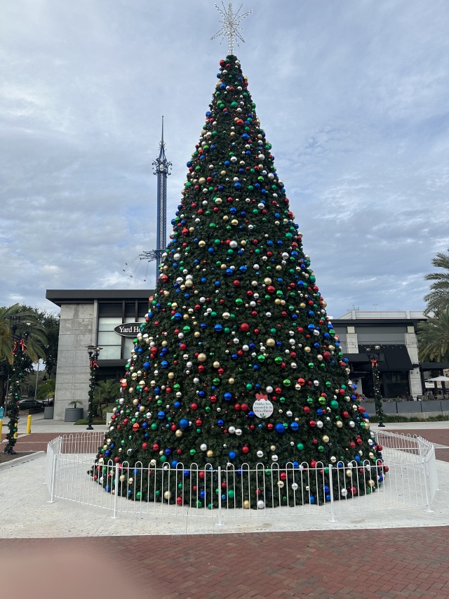 2023/12(December)/VA-SAVD-Orlando-Training/640x480_2023-12-04-VA-SAVD-Orlando-Training-02-Christmas-Tree.JPG