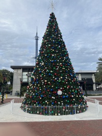 2023-12-04-VA-SAVD-Orlando-Training-02-Christmas-Tree.JPG
