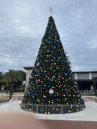 2023-12-04-VA-SAVD-Orlando-Training-03-Christmas-Tree.JPG