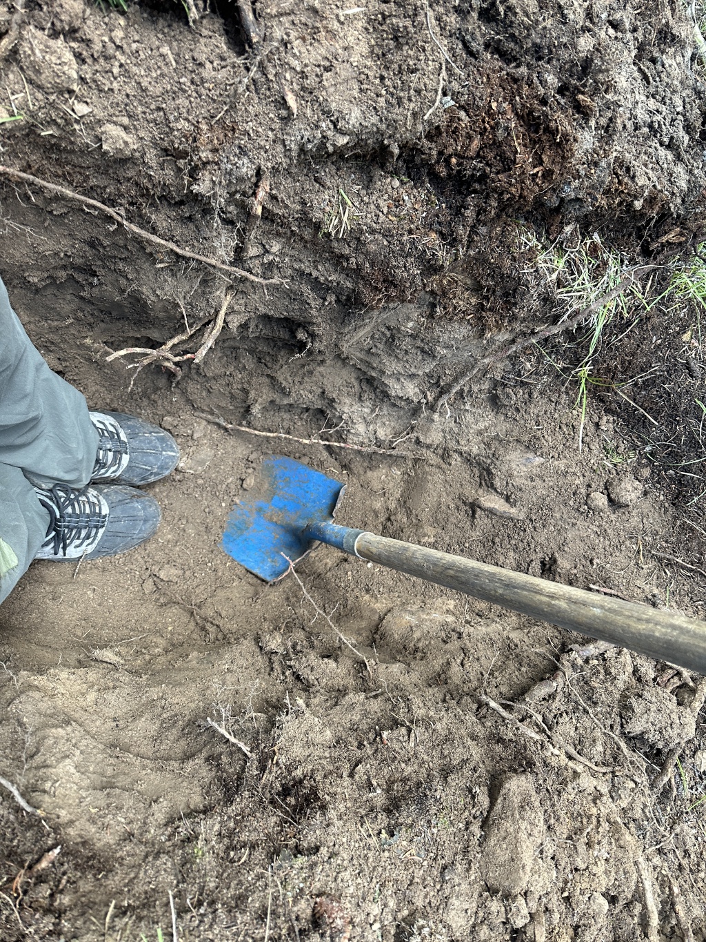 2024/01(January)/Blaze/1024x768_2024-05-17-38-Blaze-Grave.JPG