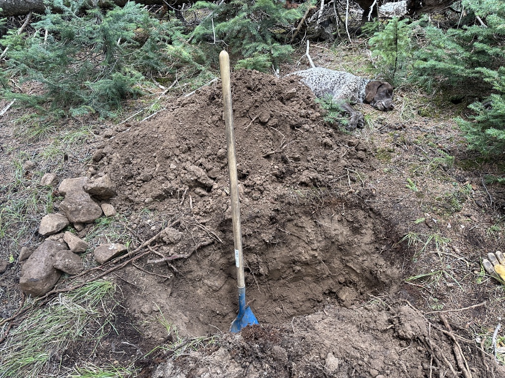 2024/01(January)/Blaze/1024x768_2024-05-17-39-Blaze-Grave.JPG