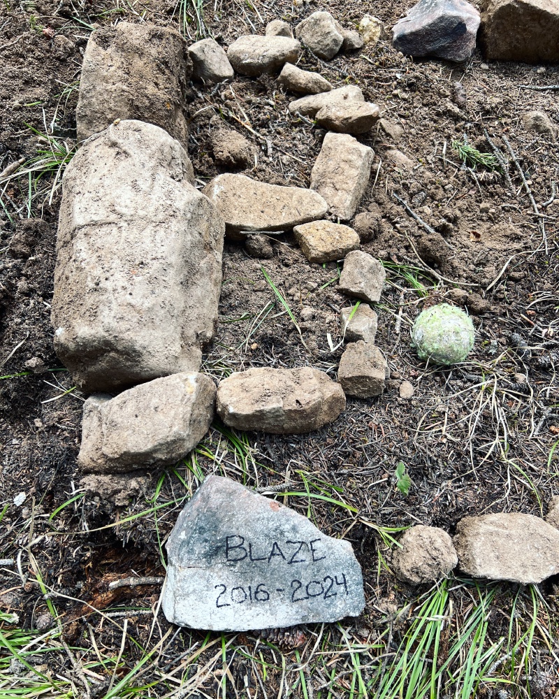 2024/01(January)/Blaze/800x600_2024-05-17-44-Blaze-Grave.JPG