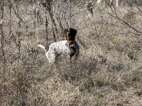 2024-01-01-01-Blaze.JPG