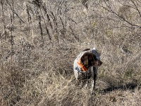 2024-01-01-02-Blaze.JPG