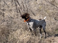 2024-01-01-03-Blaze.JPG