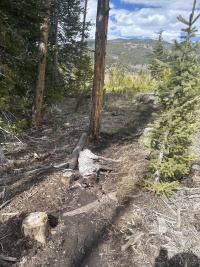 2024-05-17-36-Blaze-Heart-Attack.JPG