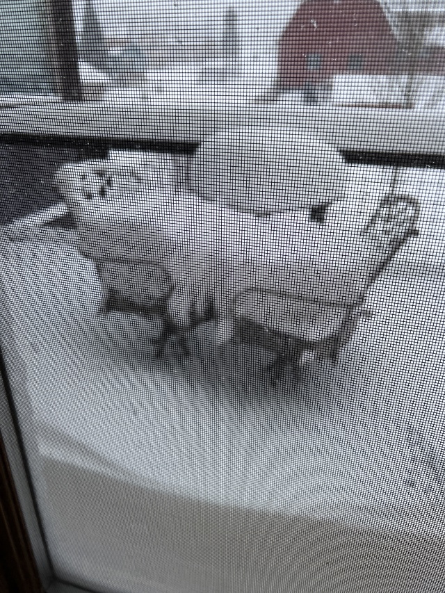 2024/01(January)/Colorado/640x480_2024-01-14-Colorado-14.JPG