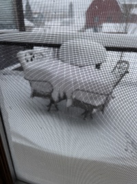2024-01-14-Colorado-14.JPG