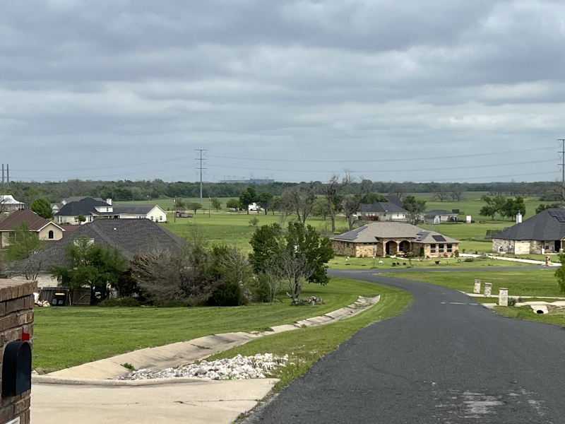 2024/03(March)/BlueBonnets/800x600_2024-03-30-Bluebonnets-4.JPG