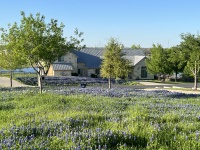 2024-03-26-Bluebonnets-3.JPG