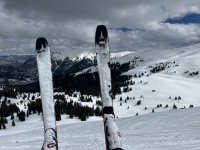 2024-03-24-Colorado-28.JPG