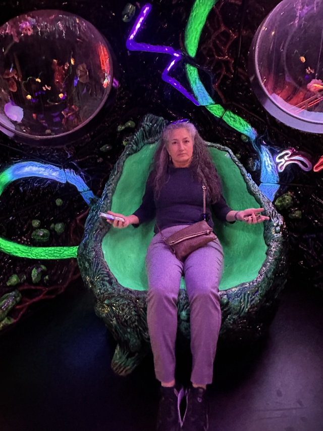 2024/03(March)/Meow-Wolf-Denver/640x480_2024-03-21-Meow-Wolf-Denver-20.JPG