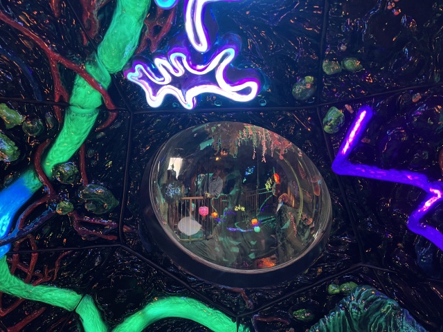 2024/03(March)/Meow-Wolf-Denver/640x480_2024-03-21-Meow-Wolf-Denver-24-Travis.JPG