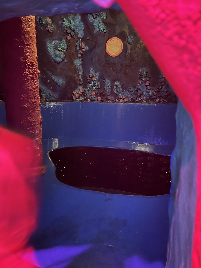 2024/03(March)/Meow-Wolf-Denver/640x480_2024-03-21-Meow-Wolf-Denver-43.JPG