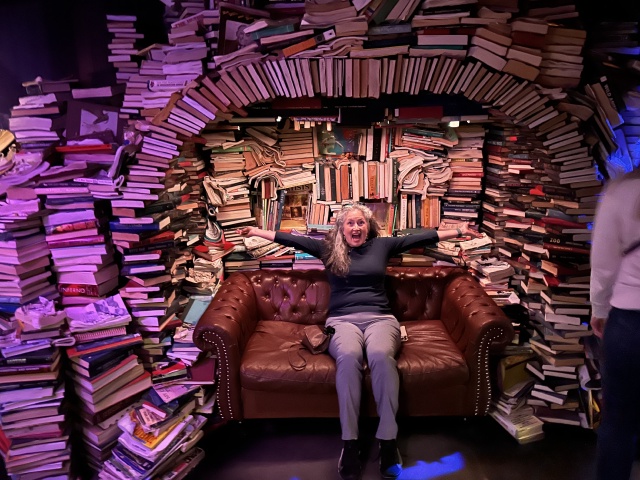 2024/03(March)/Meow-Wolf-Denver/640x480_2024-03-21-Meow-Wolf-Denver-45-Suzi.JPG