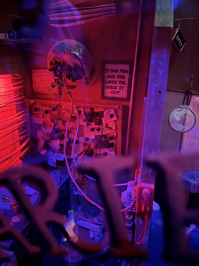 2024/03(March)/Meow-Wolf-Denver/800x600_2024-03-21-Meow-Wolf-Denver-15.JPG