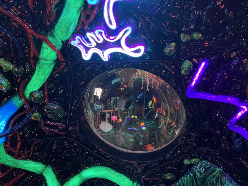 2024/03(March)/Meow-Wolf-Denver/800x600_2024-03-21-Meow-Wolf-Denver-24-Travis.JPG