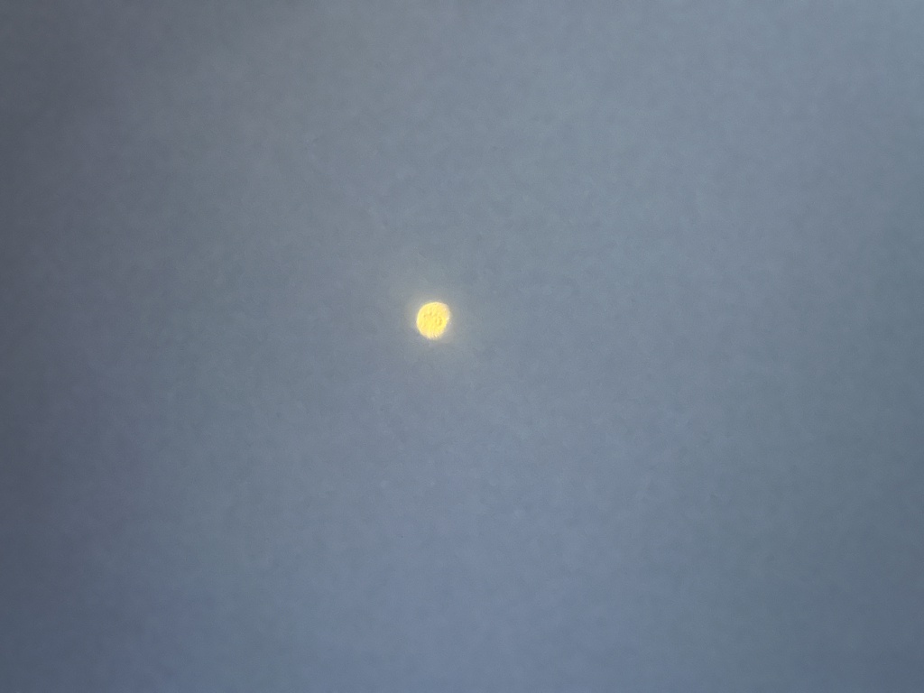 2024-04-08-Total-Solar-Eclipse-16.JPG