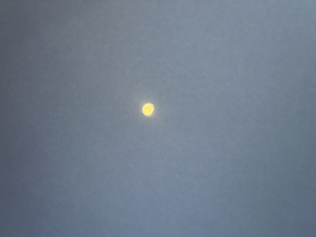 2024-04-08-Total-Solar-Eclipse-16.JPG